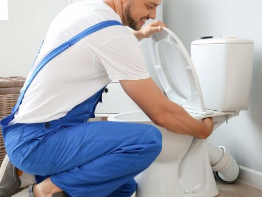 Professional Toilet Installation Professional Toilet Installation